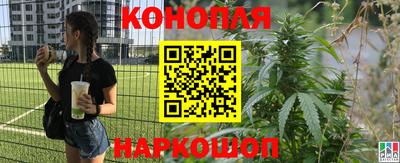 spice Краснокаменск