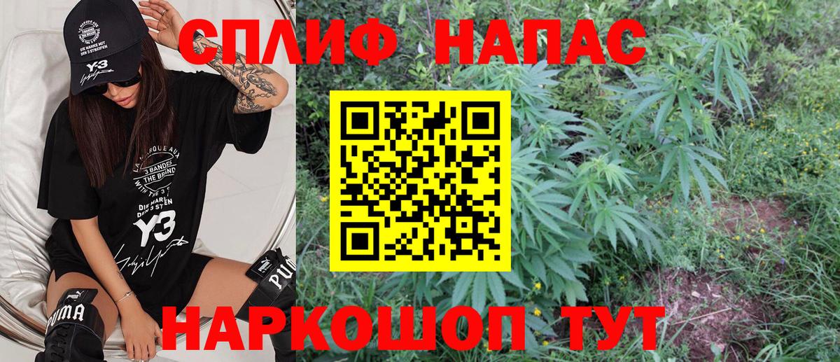 Бошки Шишки Amnesia Калининград